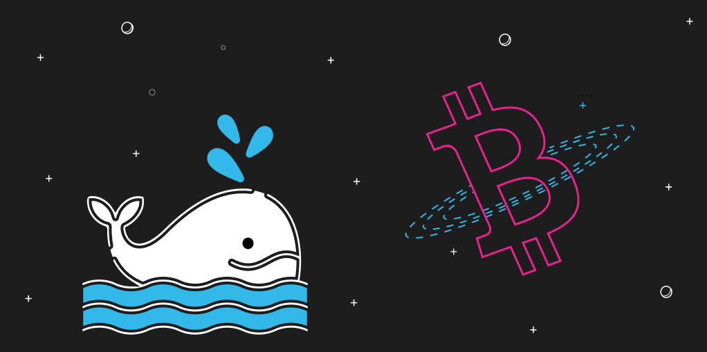 Whales Buy Over $1 Billion in BTC. Are Institutions Behind It?