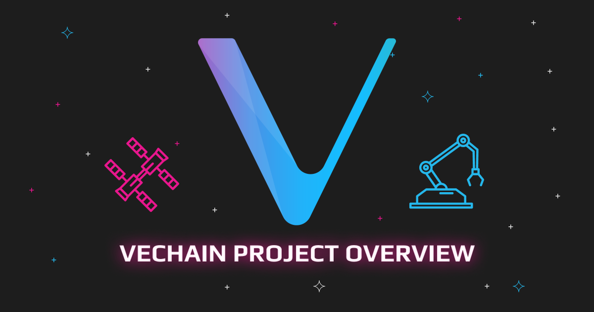 Real-World Player: VeChain Project Overview