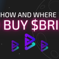 How And Where To Buy Bitgert (BRISE)