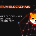 Shibarium Blockchain: Shiba Inu’s Blockchain Solution to High Transaction Fees