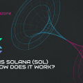 What is Solana (SOL) and how does it work?